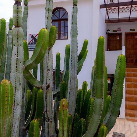 Las Bouganvillas 1 Bed Apartment In Costa Adeje מראה חיצוני תמונה