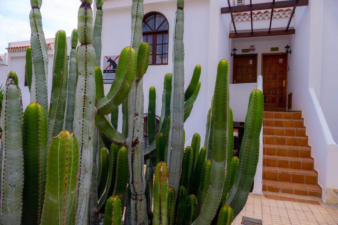 Las Bouganvillas 1 Bed Apartment In Costa Adeje מראה חיצוני תמונה